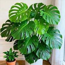 ������͏d�������҃��Ϙ����~ֲ���ҕ������辰�����՚�����ȩ