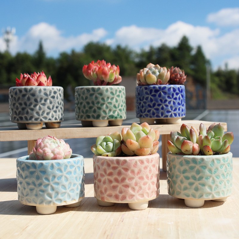 Thumb basin Korean-style seal fleshy flowerpot small size ceramic white pottery breathable personality leaf insert meat meat control wholesale