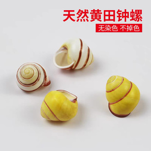 ��Ȼ�����S���R�ݼľ�з�~���bҾ��ղؾ�Ʒ����DIY�ֹ�����