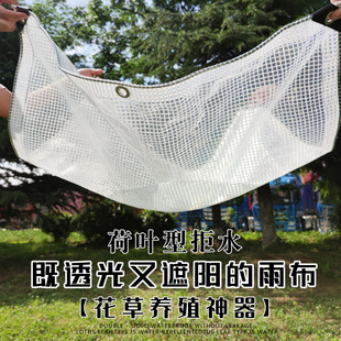 Fleshy Transparent Rain Cloth Waterproof Cloth Thickened Tape Rain Cloth Tarpaulin Waterproof Sun Protection Canopy Rain Cloth Shade Cloth