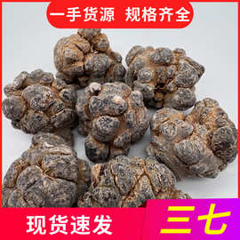 文山三七头整个20头60头120头三七片三七花产地直供37田七粉三七