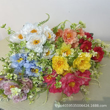 �¿����ĵ�����滨�����Ƶ겼�û�c�廨С�ѿ羳