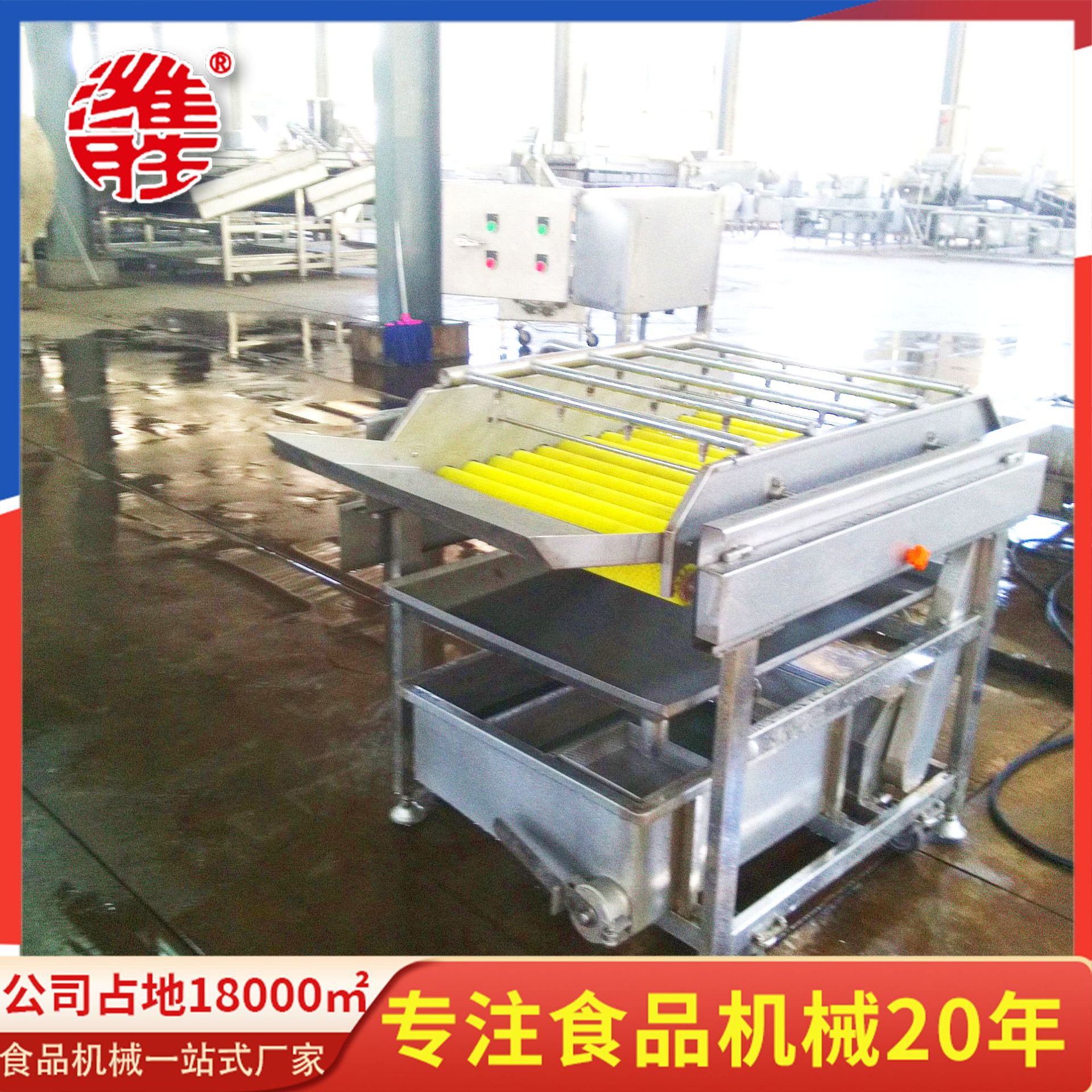 厂家供应大型喷淋清洗机 果蔬清洗机设备 绿叶蔬菜清洗机设备