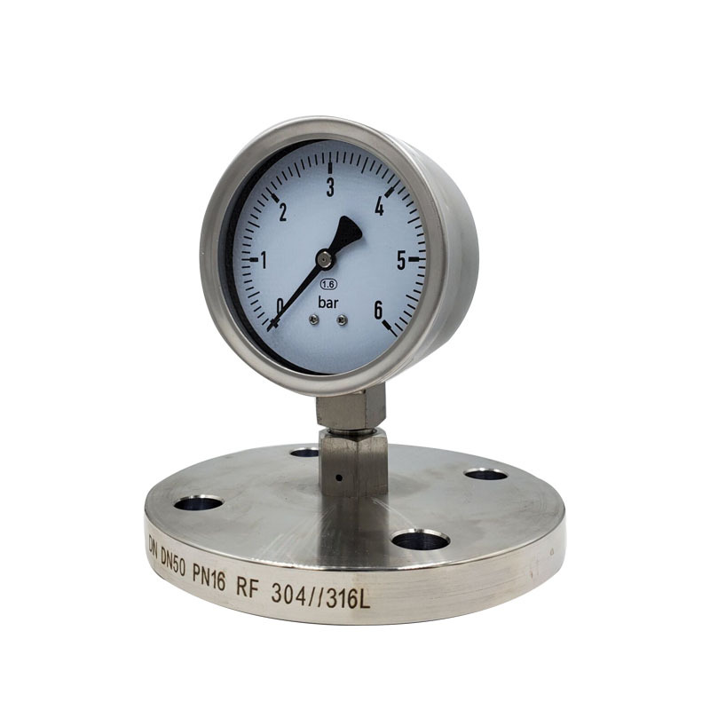 专业生产100mm隔膜表径向6bar全不锈钢压力表SS304/316隔膜压力表