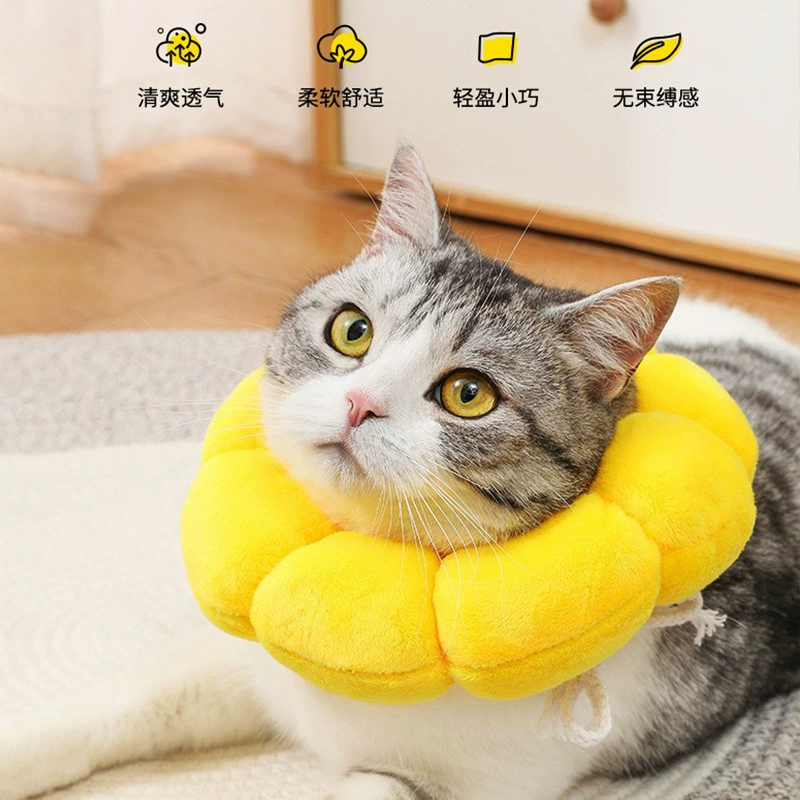 Подсолнух Елизавета ошейник для домашних животных кошка Елизавета ошейник для собак стерилизация анти-лизание головной убор