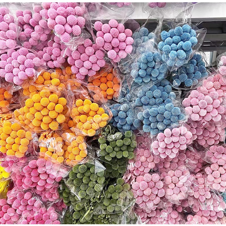Preserved flowers, dried flowers, golden ball, flower arrangement, home decoration, ornament, creative craft supplies, Yunnan manufacturer, wholesale