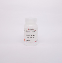 R1600 oøoˮ DNase/RNase-Free Water DEPC̎ˮ 100ml