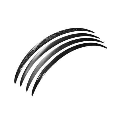 fixed wind spoiler P model, Fixed wind wing