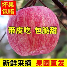 洛川苹果新鲜陕西红富士应季脆甜丑平果水果 批发5斤一整箱厂