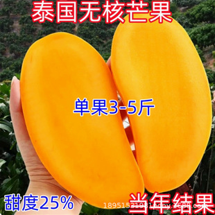 ̩���o�˼t����â�����������â������â���޽Ӯ����ļ��Y��ͥ