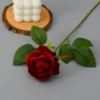 Little velvet rose red
