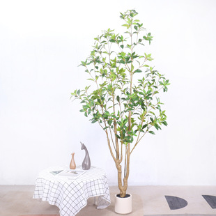 ����ֲ���쾰�Gɫ�R��ľ�پGֲ�W�t��ˇ��������̈���������