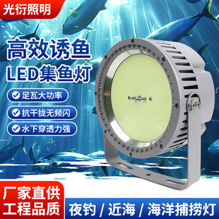LED���T��O��COB1000W�����ˮ�����T�~�����ʳ���led���~��