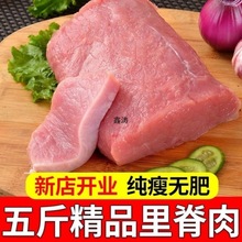新鲜里脊肉散养土猪肉大排里脊肉糖醋里脊后腿肉源工厂一件批发