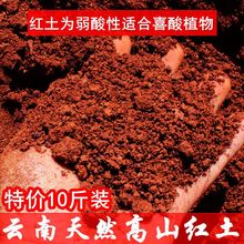 ��ϼt�����N�m���軨����t�����w�����Խл��u��������ճ��