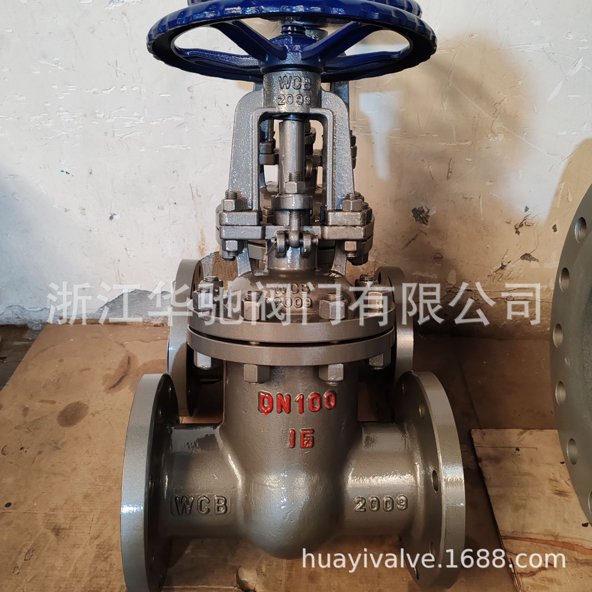 Z41H-16C-DN100-5 3048.jpg