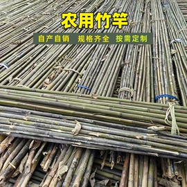 竹木藤苇干草;其他农业;温室、大棚
