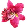 Fresh hairgrip suitable for photo sessions, wig, hair accessory, Thailand, orchid, flowered, boho style