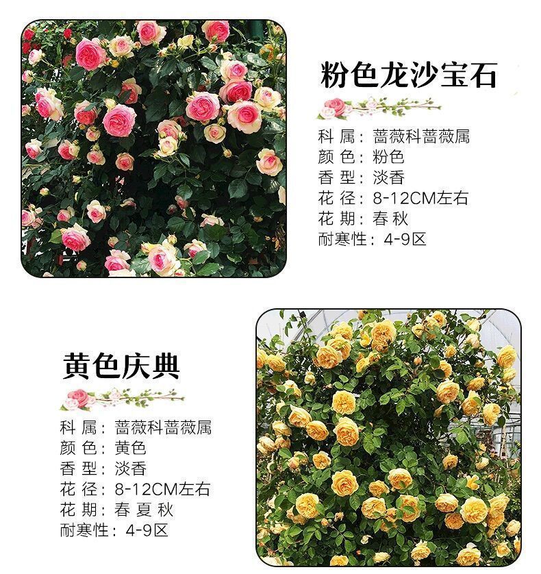 55946d57-2c99-4e54-b8aa-e80a14592f47.jpe