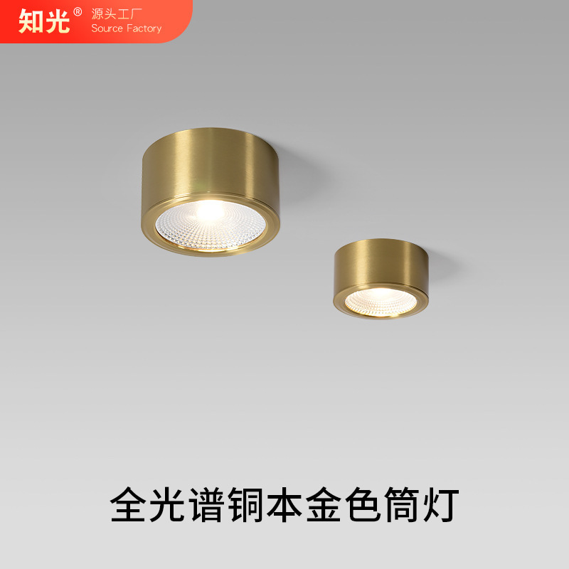 Surface-Mounted Downlight in Gold, Vintage Mid-Century Style, for Living Room, Home, Balcony, Corridor, No Main Light, No Drilling Required, Led Spotlight Surface-Mounted Downlight in Gold, Vintage Mid-Century Style, for Living Room, Home, Balcony, Corridor, No Main Light, No Drilling Required, Led Spotlight