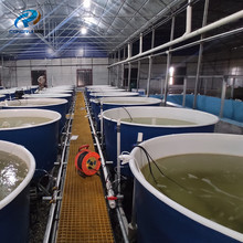 �Ϻ����J300m?�҃ȸ��ܶȌ��rѭ�hˮ�Bֳ���ܱO��ˮ̎��ϵ�y