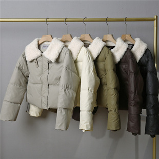 2025�¿����ë��ϴpuƤ��q�޷�Ů�̿�����I�����С��������