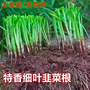 �¾²˸���²�С�~�²˸����~�²˸��ļ����Ժ��B������ͥԺ�Gֲ