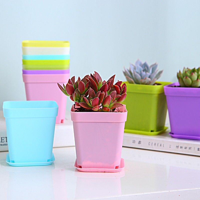 Macetas cuadradas pequeñas nuevas, macetas pequeñas de siete colores, macetas para suculentas, macetas cuadradas pequeñas de plástico negro, macetas para plántulas, venta al por mayor del fabricante