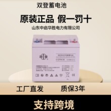 ˫������6-GFM-38 ֱ������� 12V38H  UPS��� ˫������