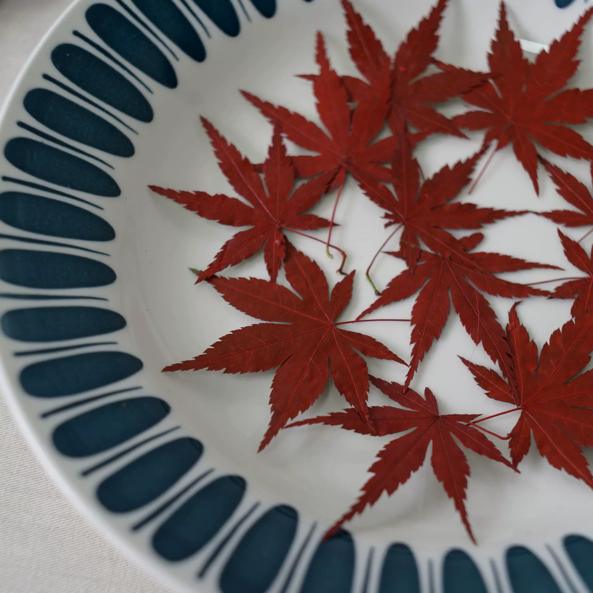 Красный кленовый лист, сушеный цветок, тисненное растение, образец, обучающий клей, чехол для мобильного телефона, детская закладка ручной работы, фоторамка, тисненая наклейка