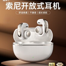 �m�����SONY�����|�¿�2025�o�����᲻ʽ�\�ӹǂ������A�{�����C