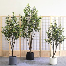 ����Gֲ�𻨘�͏d���޲�Ƶ�䁴�������b٘�߶��¹�����