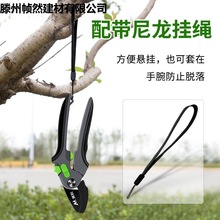 果树修枝剪园林剪树枝专用剪刀园艺剪花剪修剪工具德国省力剪子枝