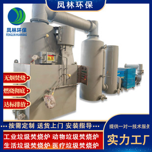 Large Incinerator Small Square Cabin Hygiene Hospital Life Garbage Treatment Incinerator Industrial Waste Incinerator