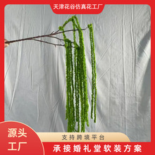 ���滨ë�����������z���˜I�һ���Y���������Ƶ��������