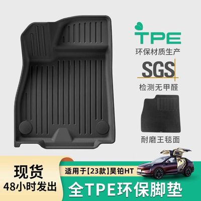 Floor Mats for: Aion Modelə uyğun ayaqaltı