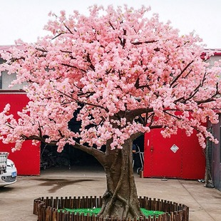 ����䓷���ѻ���V����d�b��߼٘�����һ���ˮ������ӗ���