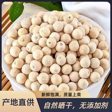 海南精选优质白胡椒颗粒调味去腥香料调味料原料现货批发量大从优