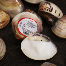 �����Ӹ������o��˪�χ�؛������ؐ���Ϳ����������Ͱ������o��˪