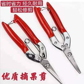 修枝剪;其他园林工具;不锈钢厨用刀