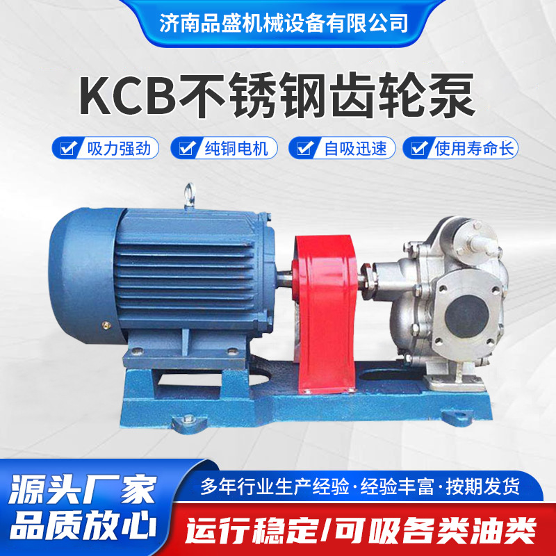 KCB型不锈钢齿轮式输油泵 化工食品加工配用大流量油泵电动输送泵