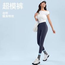 2026�����٤ѝŮ�o���ξ������θ��������\�ӽ���ѝ�ո��o��ѝ