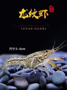 ����С���r�r���^�p��ˮ�r�����������r��ˮ�ͻ���r����{ħ�r