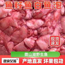 ���rˮ�a�~���~���~�s�~���~���F���F�l���r�l؛�~ƯѪ��