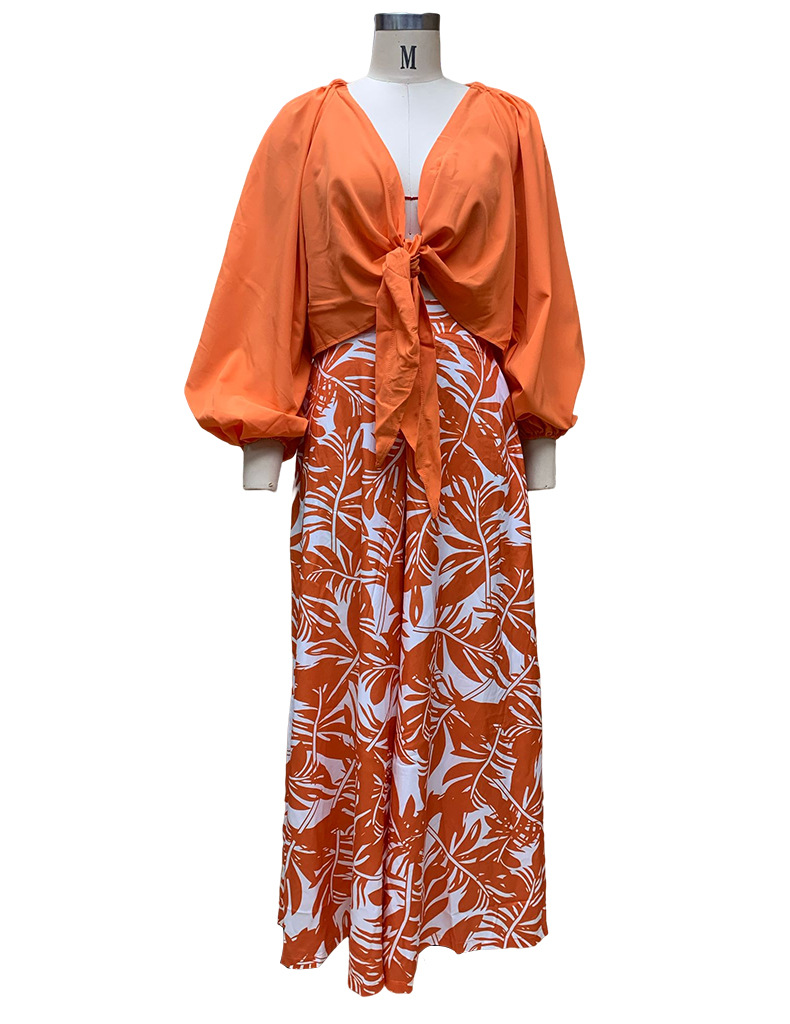 Women's Clothing new women's fashionable temperament printed pants V neck top long sleeved two piece set_voghion.com