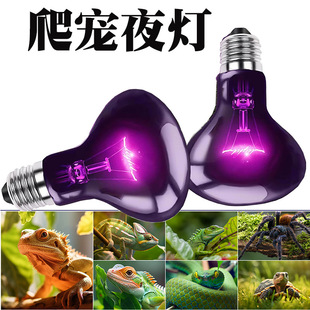 ����UVA�ӟ���՟�ҹ������������،m׃ɫ���¹�����؟��մɟ�
