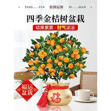 �ļ���ۘ����Կ�ʳ�Î���������ۘ����������͏d�҃Ȼ��ܾGֲ��