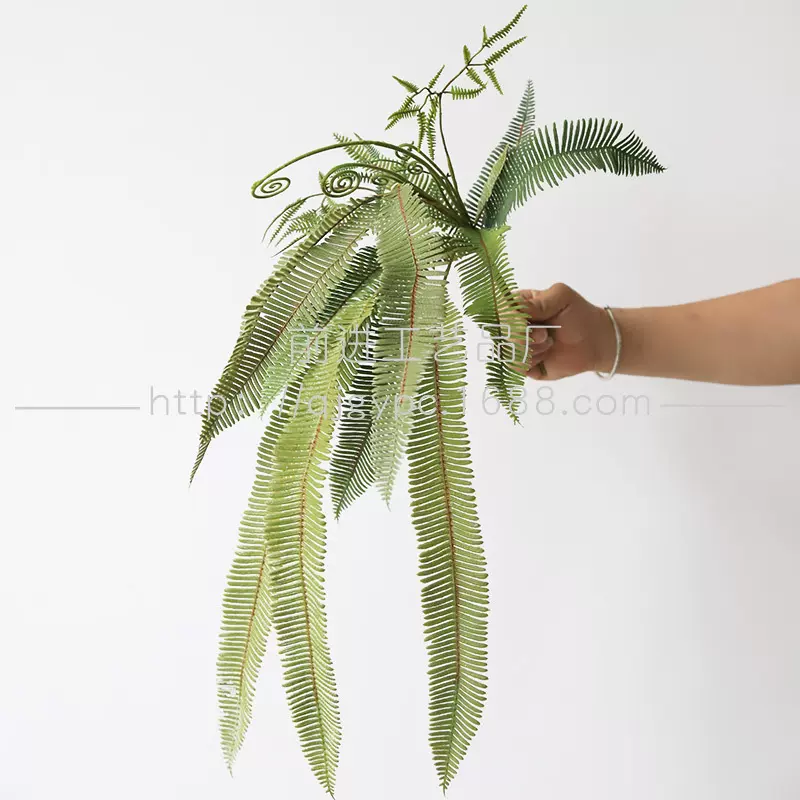 蕨类叶子仿真绿植森系场景装饰加长波斯蕨星蕨叶景观装饰把束绿叶