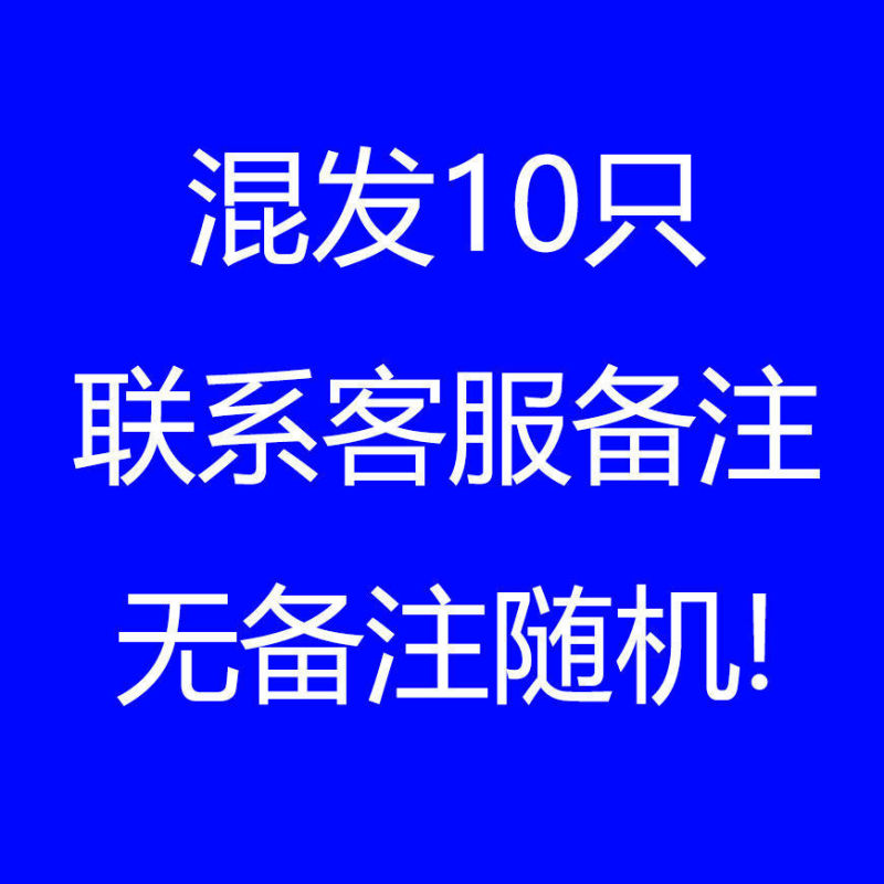 量勺克数勺长柄0.25g计量小勺子PP塑料 益生菌药粉厨房限盐1g套装|undefined