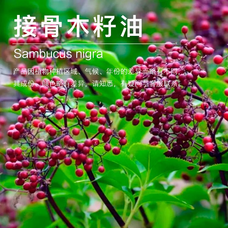 ��Ӧ�ӹ�ľ����  ��ѹ��ե �ӹ�ľ���� ֲ���ͻ����ͳ�������